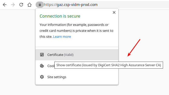 Checking the CA certificate using Chrome